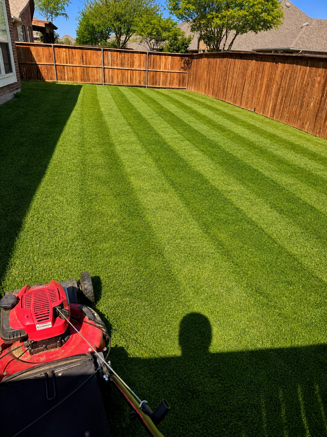 Beautifully striped mowed lawn — Prestige Lawn & Landscaping, Denton TX